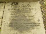 image of grave number 68529